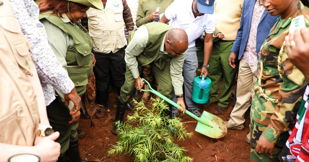 National Tree Planting Day