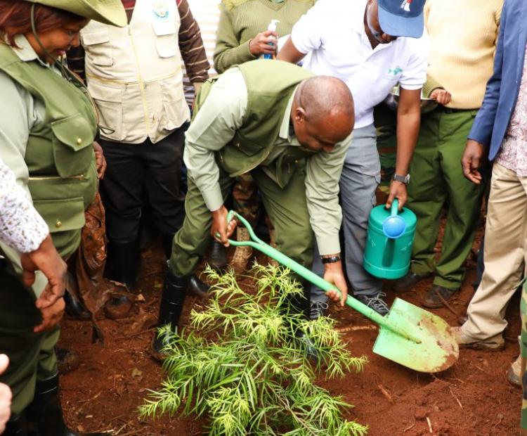 National Tree Planting Day