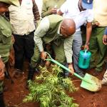 National Tree Planting Day